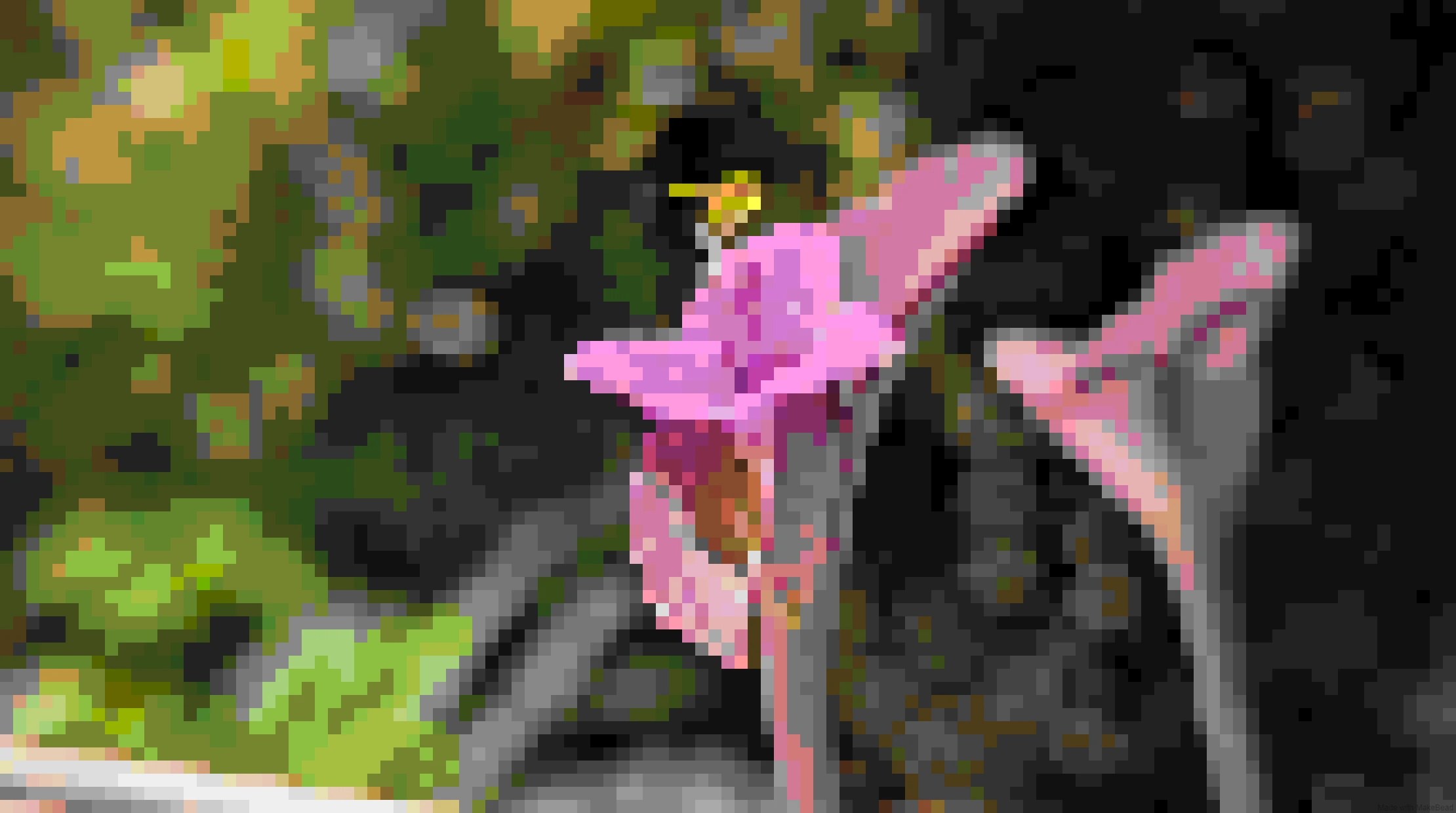 What flower pixel art looks like